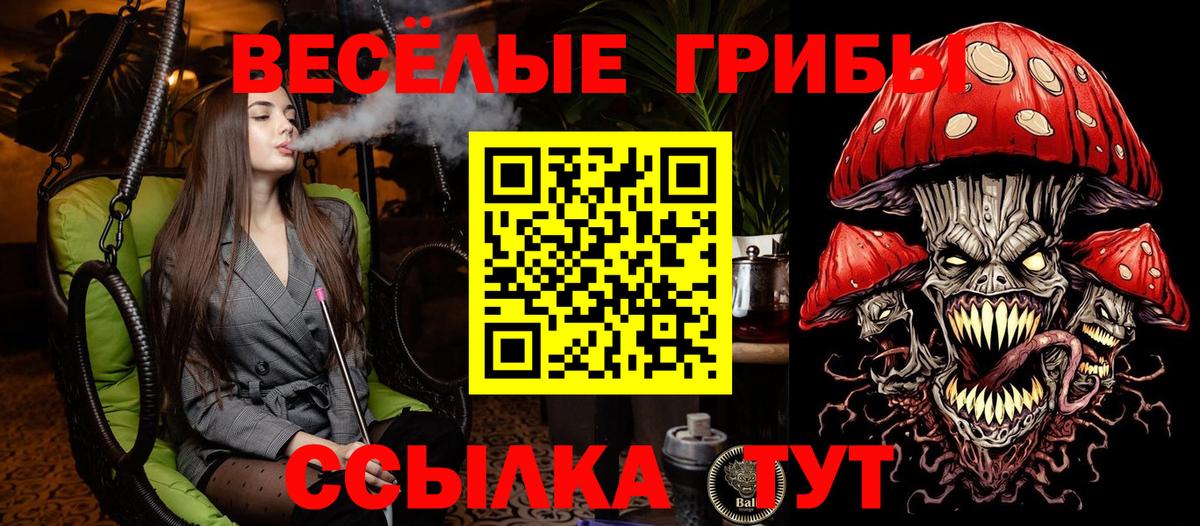 закладка  Вход с VPN  Сочи  Галлюциногенные грибы Psilocybine cubensis 